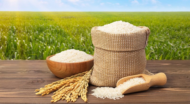 تصویر 2 از قیمت خرید برنج هاشمی آستانه اشرفیه با فروش عمده