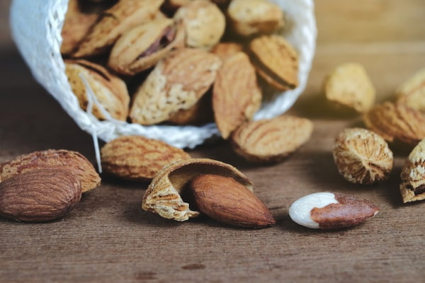 تصویر 2 از قیمت بادام درختی منقا با کیفیت ارزان + خرید عمده