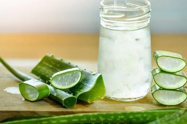 تصویر 1 از قیمت خرید آلوئه ورا خوردنی + فروش ویژه