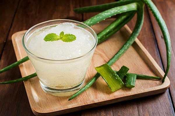 تصویر 4 از قیمت خرید آلوئه ورا خوردنی + فروش ویژه