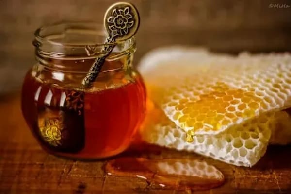 تصویر 2 از خرید عسل چهل گیاه اردبیل + قیمت فروش استثنایی