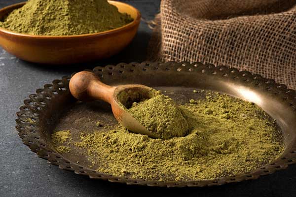 تصویر 1 از فروش برگ حنا خشک شده + قیمت خرید به صرفه