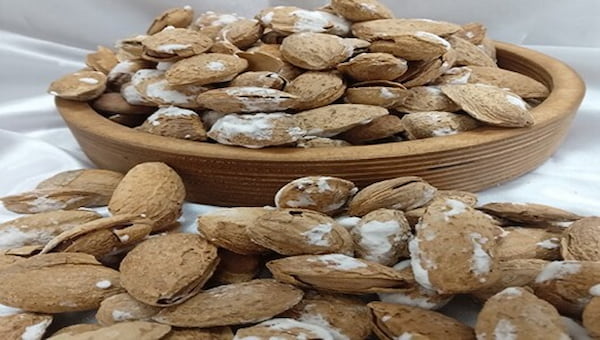 تصویر 3 از قیمت بادام کاغذی شور + خرید باور نکردنی