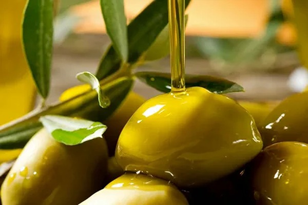 تصویر 3 از قیمت خرید روغن زیتون خارجی اصل با فروش عمده