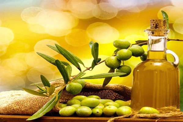 تصویر 2 از قیمت روغن زیتون شیرین + خرید باور نکردنی