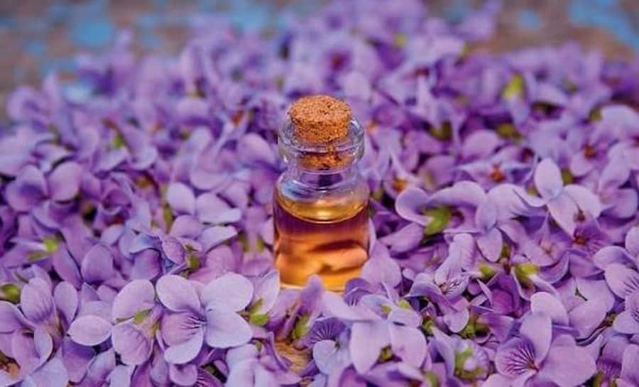 تصویر 1 از قیمت خرید روغن پایه کنجد با فروش عمده