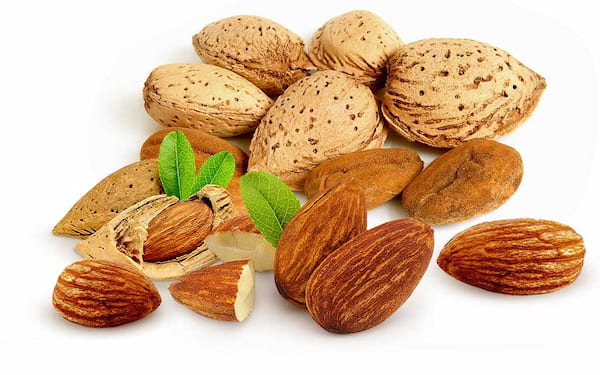 تصویر 5 از قیمت خرید بادام سنگی ریز عمده به صرفه و ارزان