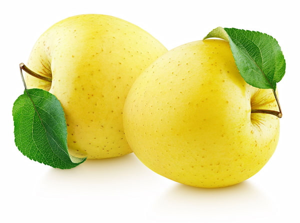 تصویر 2 از خرید و فروش سیب زرد شیرین با شرایط فوق العاده