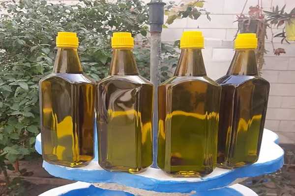 تصویر 1 از فروش روغن زیتون یک لیتری + قیمت خرید به صرفه