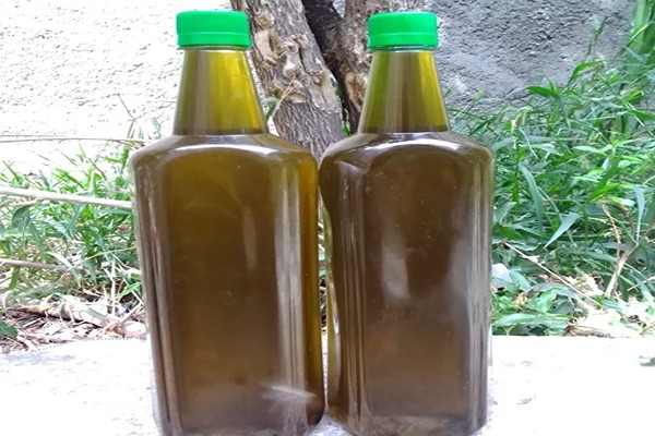 تصویر 2 از فروش روغن زیتون یک لیتری + قیمت خرید به صرفه