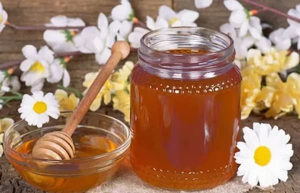 تصویر 4 از فروش عسل کوهدار سبلان + قیمت خرید به صرفه