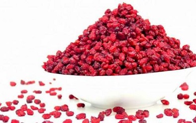 تصویر 2 از قیمت زرشک زینتی قرمز + خرید باور نکردنی