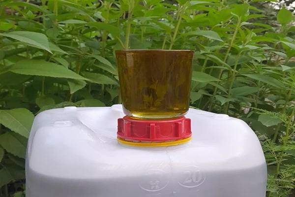 تصویر 3 از خرید روغن زیتون 20 لیتری + قیمت فروش استثنایی
