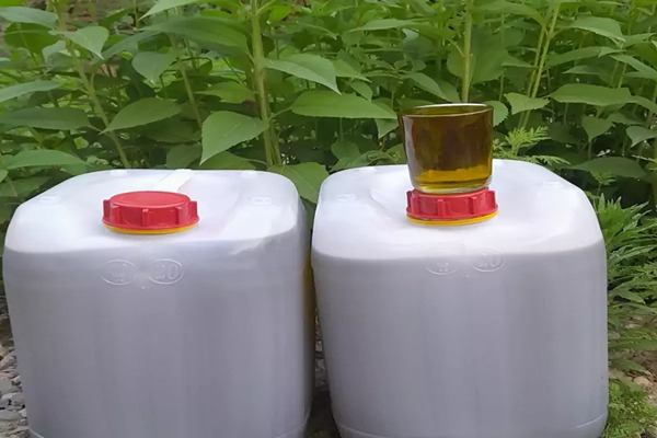 تصویر 5 از خرید روغن زیتون 20 لیتری + قیمت فروش استثنایی