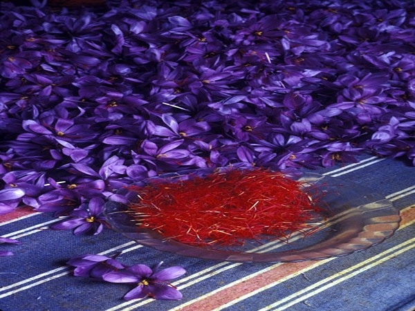 تصویر 4 از قیمت زعفران اصل مشهد + خرید باور نکردنی