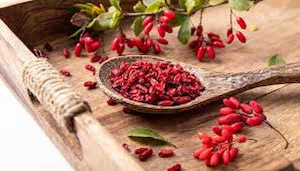 تصویر 5 از فروش زرشک عمده مشهد + قیمت خرید به صرفه