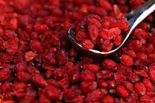 تصویر 2 از خرید و قیمت زرشک تازه بسته بندی + فروش عمده