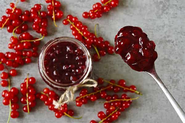 تصویر 4 از خرید و قیمت زرشک تازه بسته بندی + فروش عمده