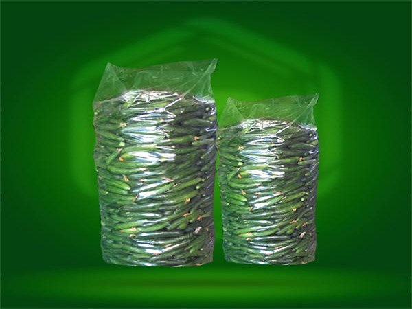 تصویر 1 از قیمت خرید کیسه نایلون خیاری + فروش ویژه