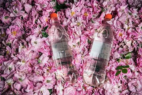 تصویر 2 از خرید فراورده های گیاهی + قیمت فروش استثنایی