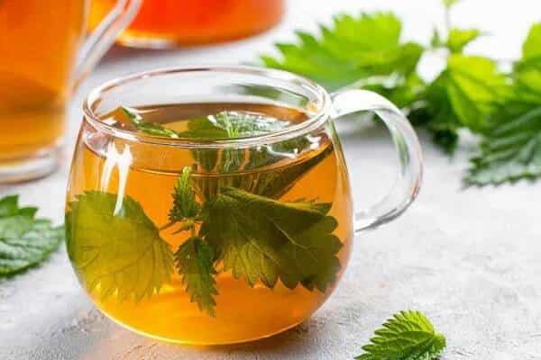 تصویر 3 از قیمت خرید فراورده های گیاهی + فروش ویژه