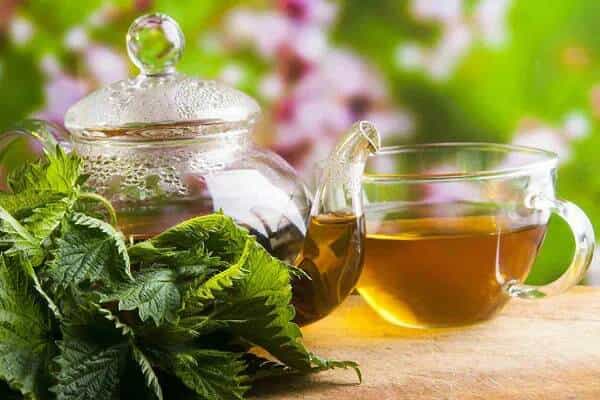 تصویر 4 از قیمت خرید فراورده های گیاهی + فروش ویژه
