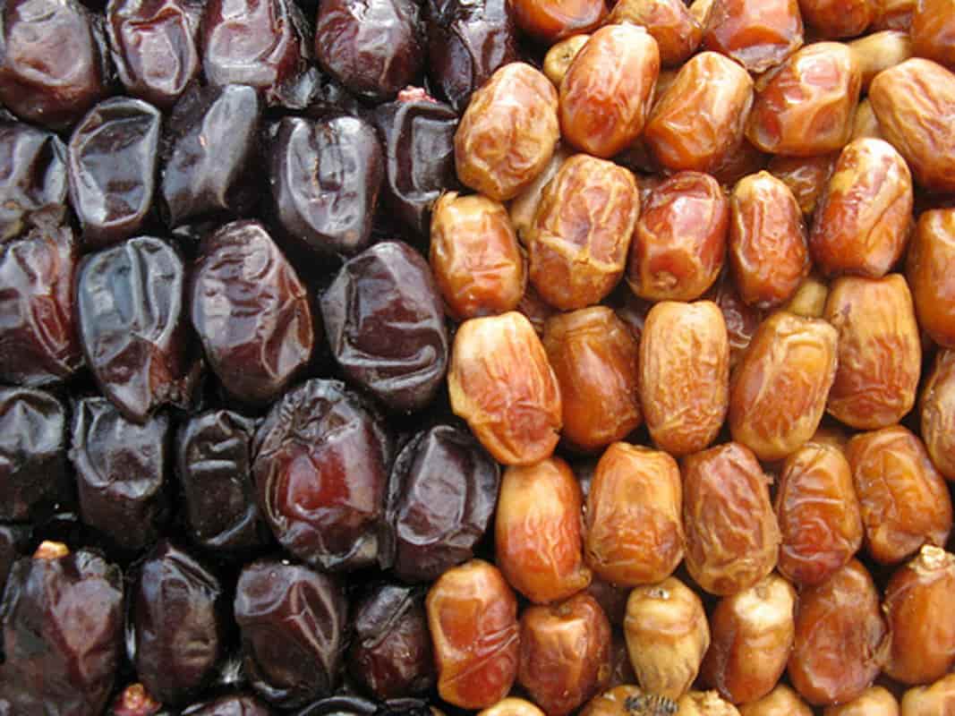 تصویر 1 از خرید و قیمت خرما زاهدی بوشهر + فروش عمده