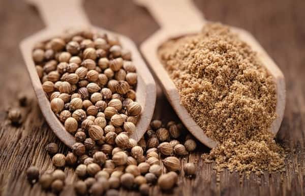 تصویر 5 از قیمت تخم گشنیز خشک شده با کیفیت ارزان + خرید عمده