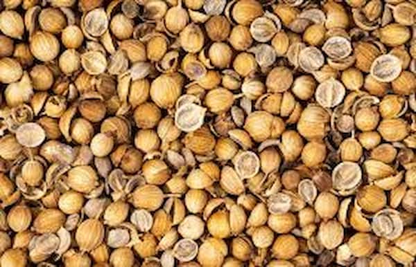 تصویر 1 از قیمت خرید تخم گشنیز مرغ با فروش عمده