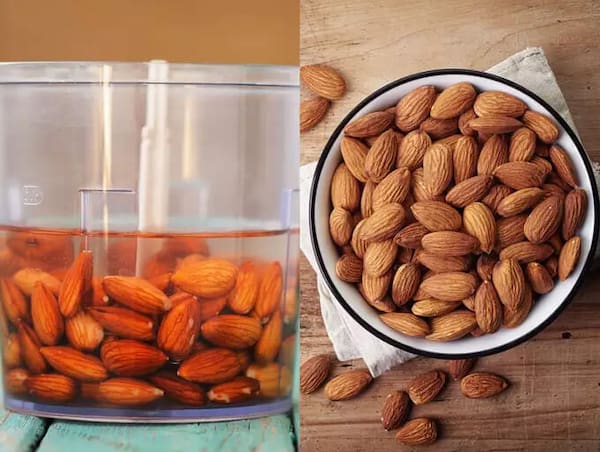 تصویر 2 از خرید بادام درختی شکسته + قیمت فروش استثنایی