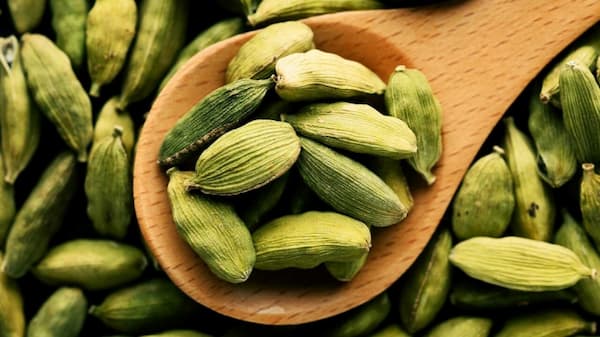 تصویر 2 از خرید هل سبز هندی + قیمت فروش استثنایی