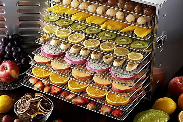 تصویر 4 از خرید میوه خشک کن پفکی + قیمت فروش استثنایی