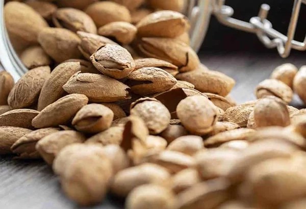 تصویر 5 از قیمت بادام درختی پوست نازک با کیفیت ارزان + خرید عمده