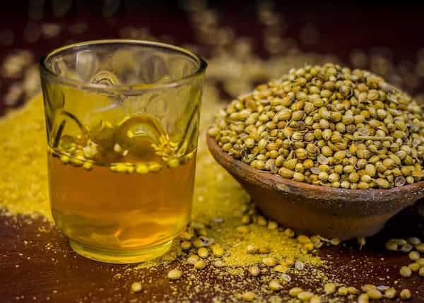 فروش بذر سبزی