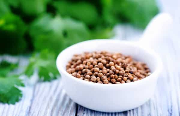 خرید بذر سبزی