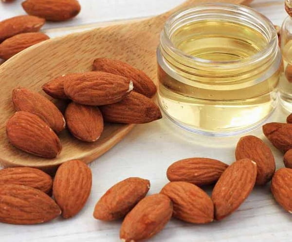 تصویر 2 از خرید و فروش بادام درختی همدان با شرایط فوق العاده