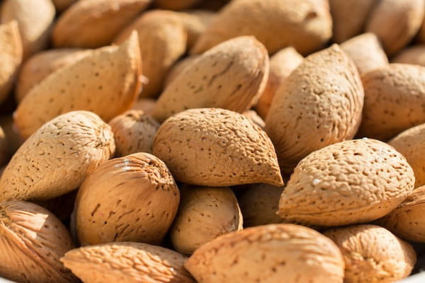 تصویر 3 از قیمت مغز بادام سنگی عمده + خرید باور نکردنی