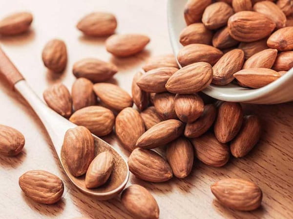 تصویر 4 از قیمت مغز بادام سنگی عمده + خرید باور نکردنی