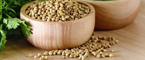 فروش دستگاه بذرپاش