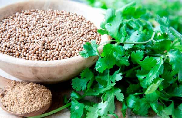 خرید دستگاه بذرپاش