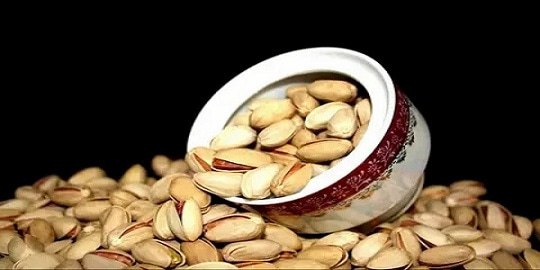 تصویر 5 از خرید و فروش پسته اکبری انس ۲۲ با شرایط فوق العاده