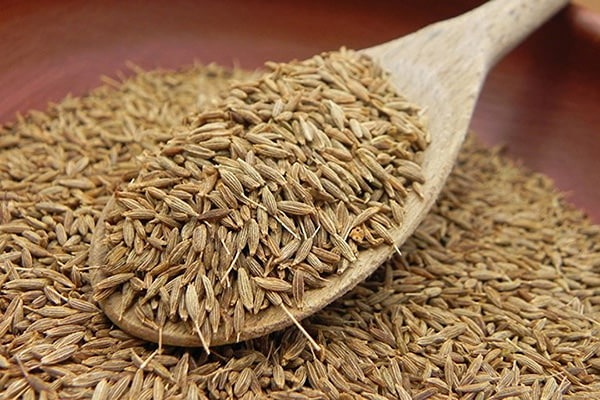 تصویر 5 از قیمت خرید زیره سبز اعلا با فروش عمده