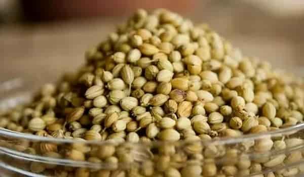 گشتیز به صورت بذر