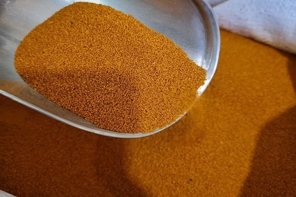 قیمت خاکشیر زرد