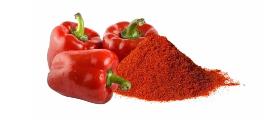 تصویر 5 از فروش پاپریکا فلفل دلمه + قیمت خرید به صرفه
