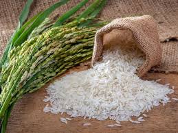 تصویر 5 از خرید برنج طارم هاشمی + قیمت فروش استثنایی