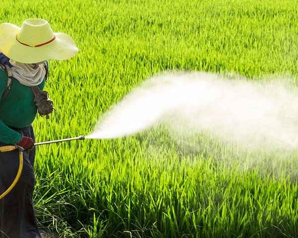 تصویر 3 از فروش اسید آمینه ایزابیون + قیمت خرید به صرفه