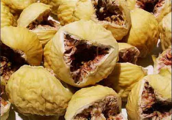 تصویر 5 از قیمت خرید انجیر استهبان درجه یک با فروش عمده