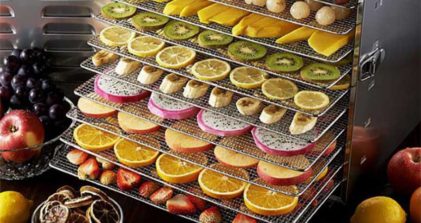 قیمت چیپس میوه خشک با کیفیت ارزان + خرید عمده