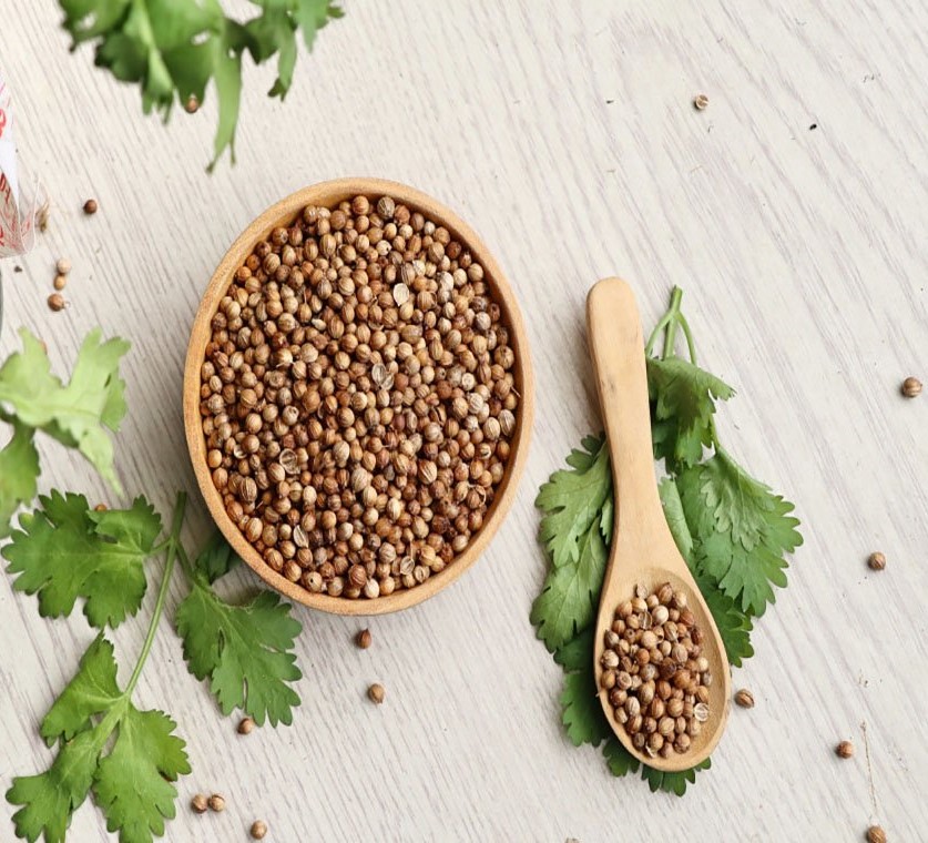 تصویر 5 از فروش تخم گشنیز سبز + قیمت خرید به صرفه
